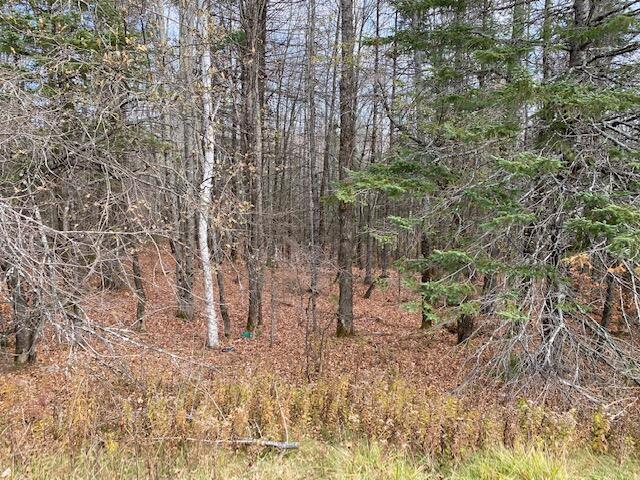 11-7 Greenville Road Monson, ME 04464 - Photo 2 of 8 IMG_4145