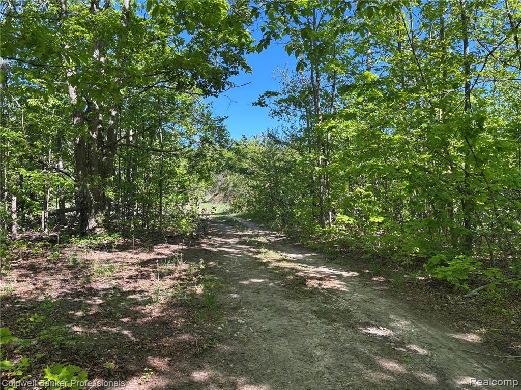 11560 Ashman Hill Road Boyne Falls, MI 49713 - Photo 22 of 22