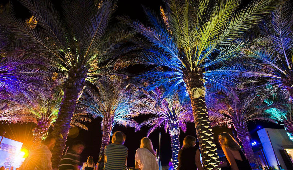 78 Cote D Azur Drive Santa Rosa Beach, FL 32459 - Photo 76 of 80 a view of a tree with plants