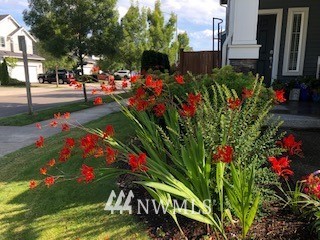 1314 124th Place Southeast Everett, WA 98208 - Photo 20 of 23 a view of a bunch of flowers