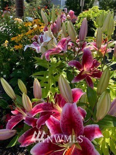 1314 124th Place Southeast Everett, WA 98208 - Photo 21 of 23