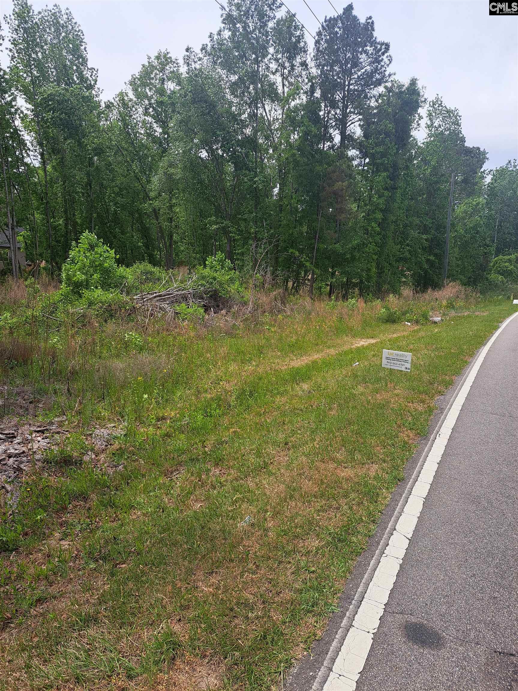 460 Grover Wilson Road Blythewood, SC 29016 - Photo 2 of 19