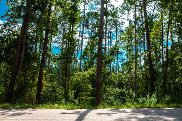 $95,000 | Lot 4 Furey Drive, Clarks Hill, SC 29821