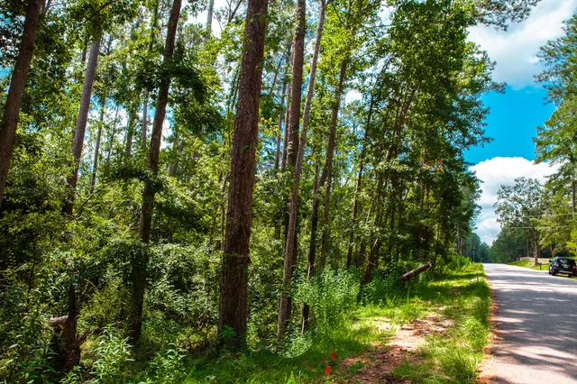 $95,000 | Lot 4 Furey Drive, Clarks Hill, SC 29821