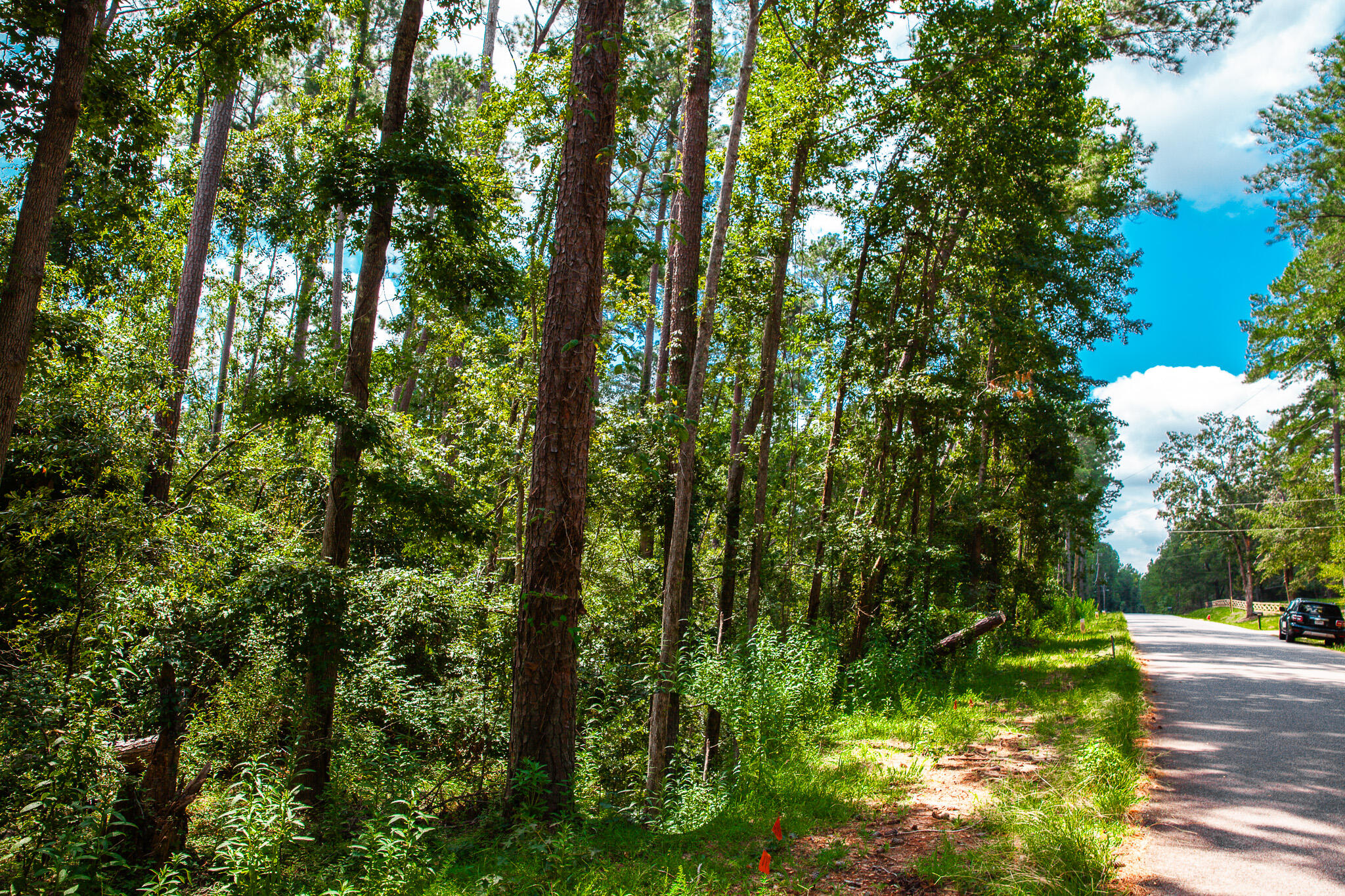 Lot 4 Furey Drive Clarks Hill, SC 29821 - Photo 2 of 9 IMG_3904