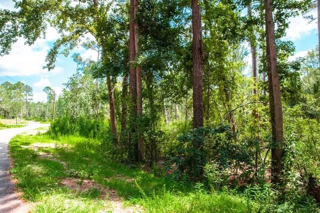 $95,000 | Lot 4 Furey Drive, Clarks Hill, SC 29821
