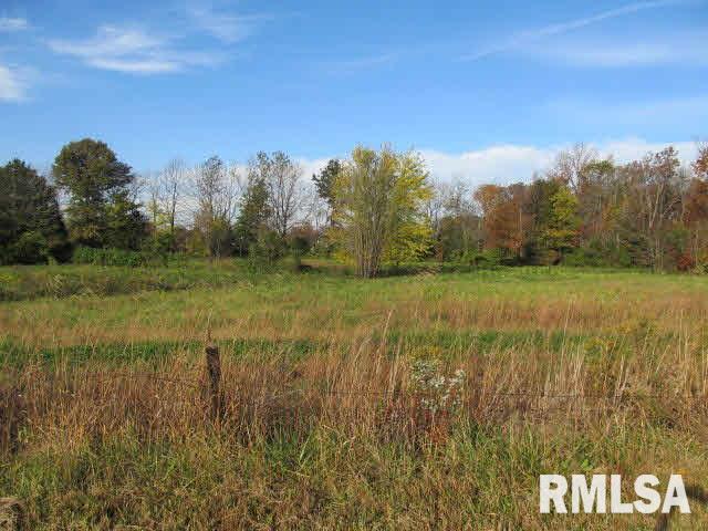 409 Main Street Ina, IL 62846 - Photo 3 of 17