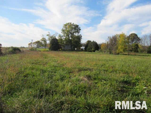 409 Main Street Ina, IL 62846 - Photo 5 of 17