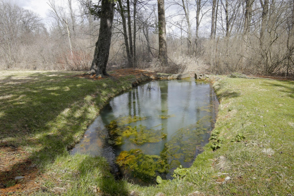 15016 Coon Hollow Road Three Rivers, MI 49093 - Photo 21 of 28 15016 Coon Hollow-121