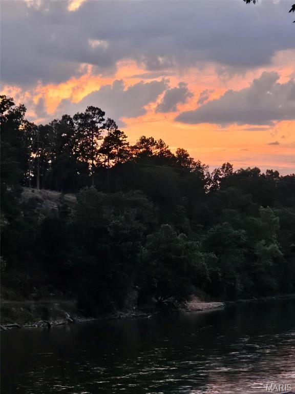 1901 River Valley Road Doniphan, MO 63935 - Photo 40 of 66