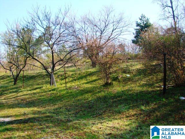 678 Old Sulphur Springs Road, Unit 2 Wellington, AL 36279 - Photo 2 of 11