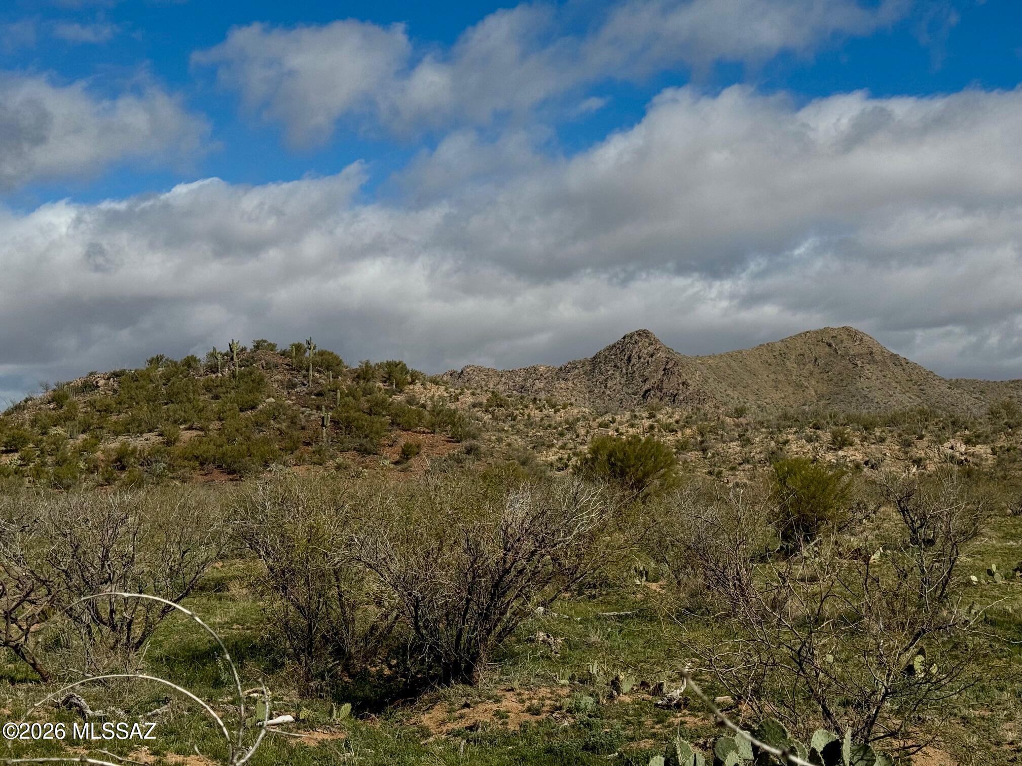 17027 South Sierrita Mountain Road Tucson, AZ 85736 - Photo 2 of 34 a view of a building under a large tree