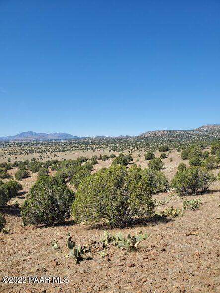 2025 West Nighthawk Road Chino Valley, AZ 86323 - Photo 5 of 19 McAllister - 3