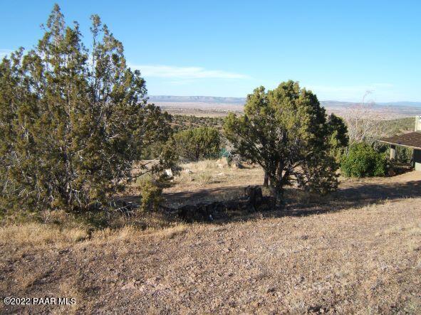 2025 West Nighthawk Road Chino Valley, AZ 86323 - Photo 10 of 19 Nighthawk