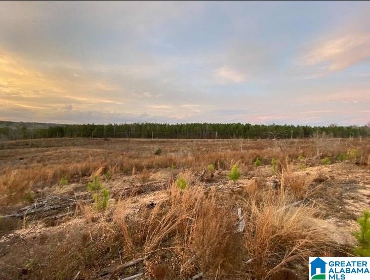0 County Road 16 Clanton, AL 35045 - Photo 2 of 3