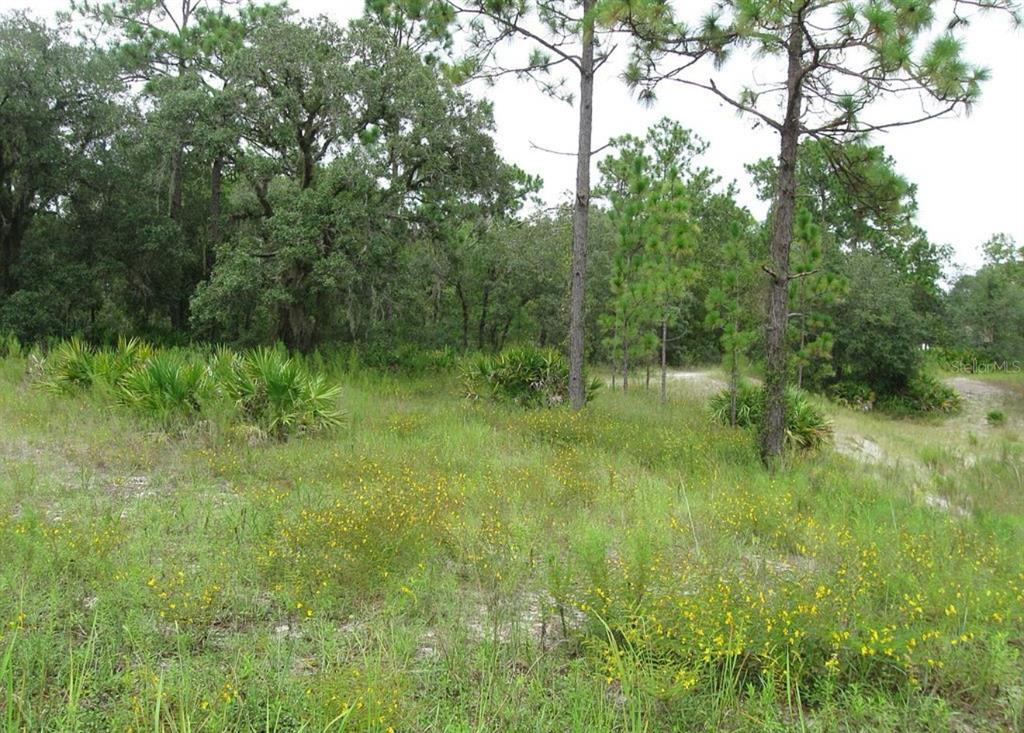 0 Fulton Avenue Weeki Wachee, FL 34613 - Photo 7 of 7 Gallery Image 7