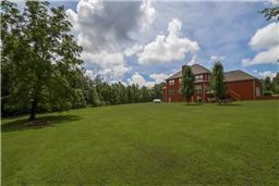 7352 Overbey Road Fairview, TN 37062 - Photo 4 of 21 Large back yard.