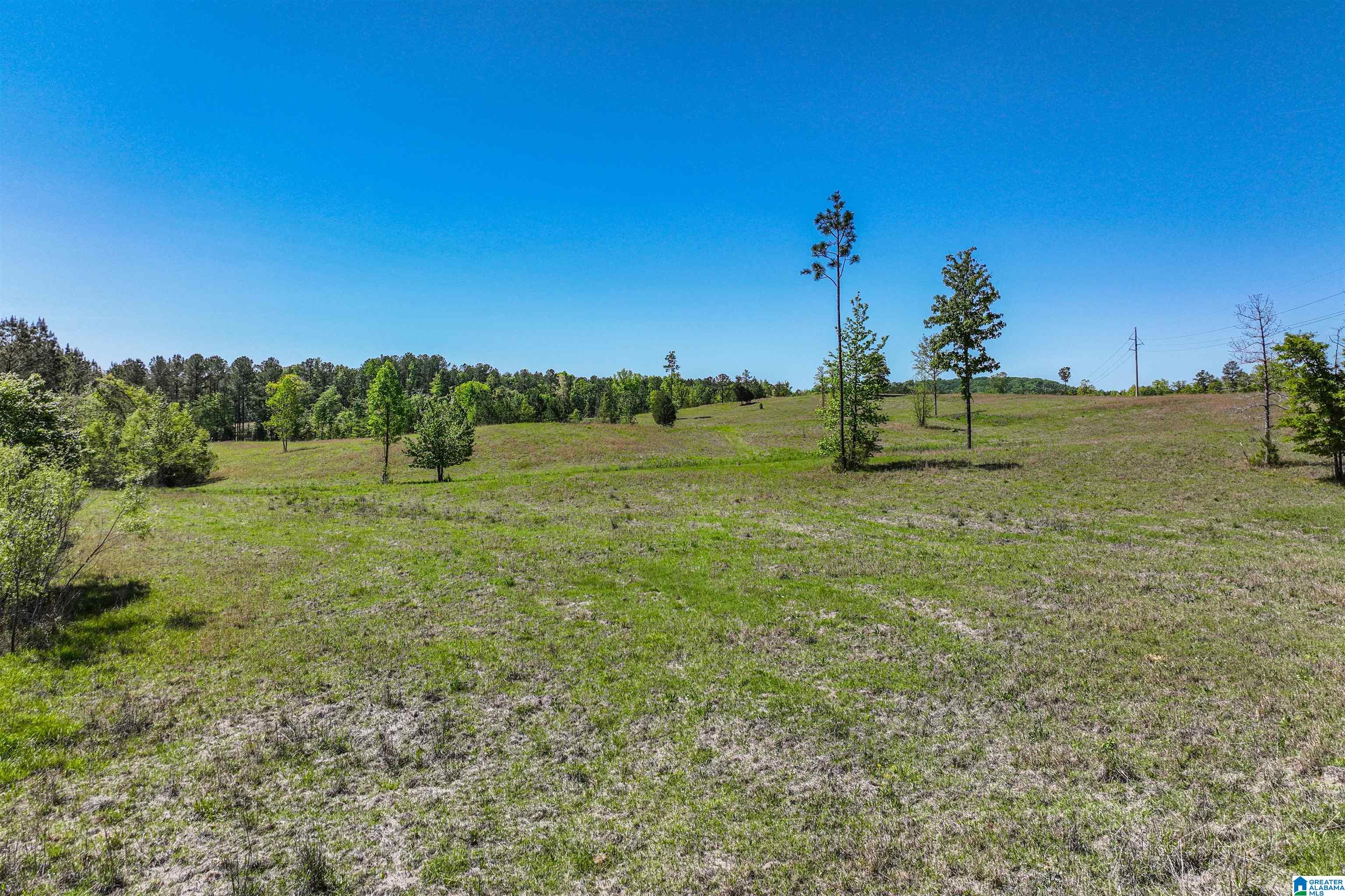 489 4 Wing Lake Road Alabaster, AL 35007 - Photo 22 of 27