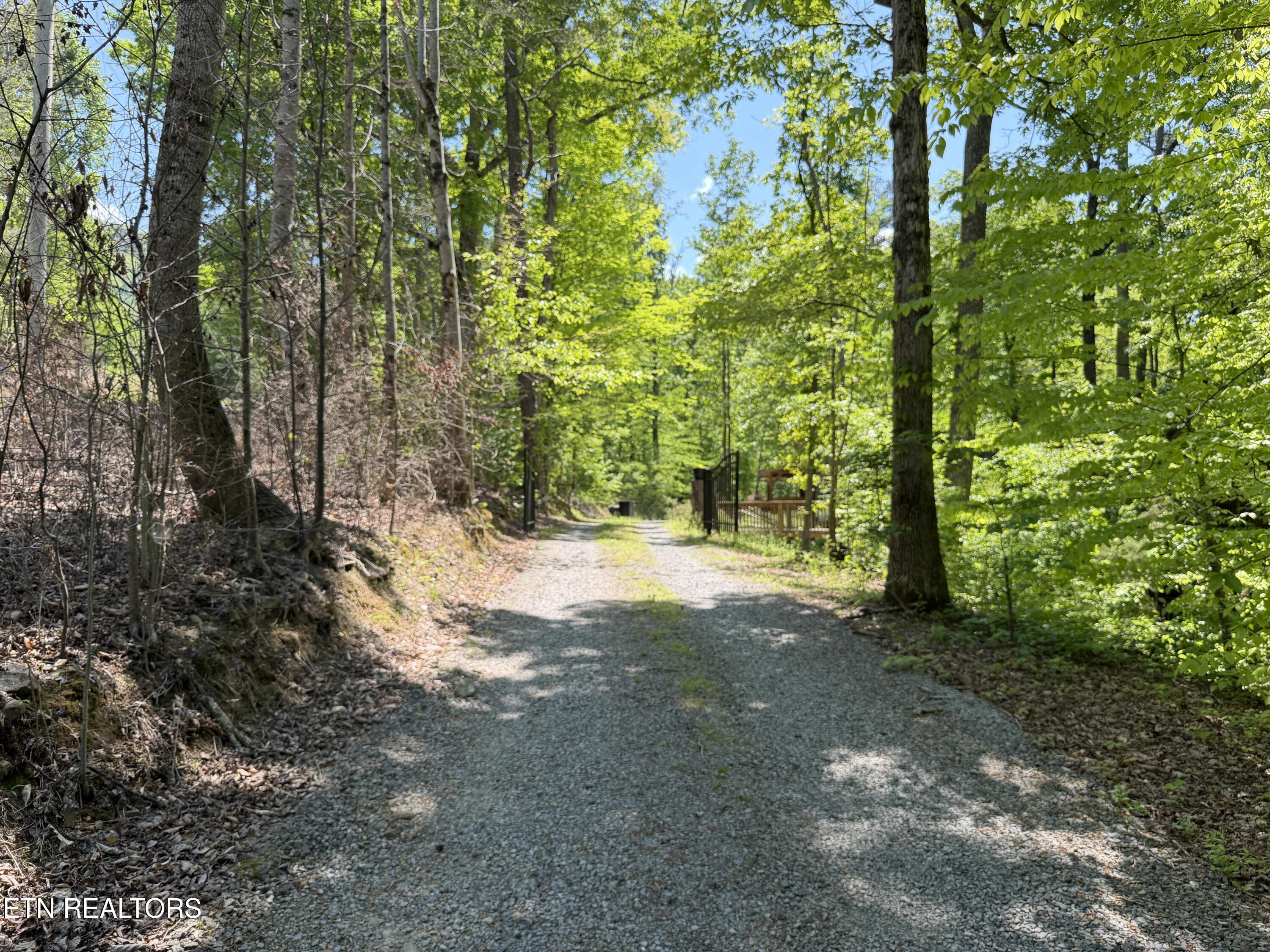 4716 Fred Jennings Road Walland, TN 37886 - Photo 2 of 52 IMG_2745