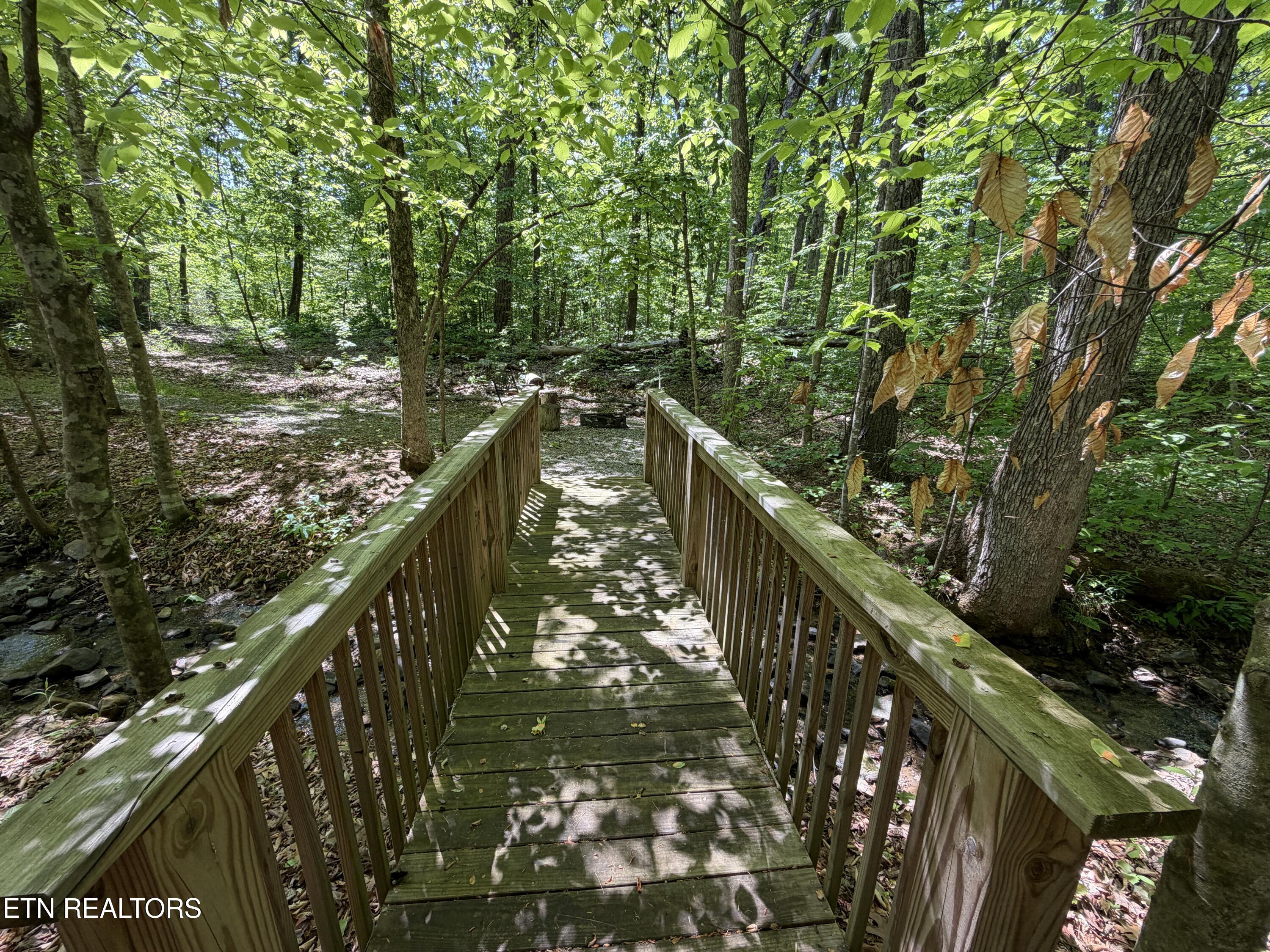 4716 Fred Jennings Road Walland, TN 37886 - Photo 23 of 52 IMG_2766