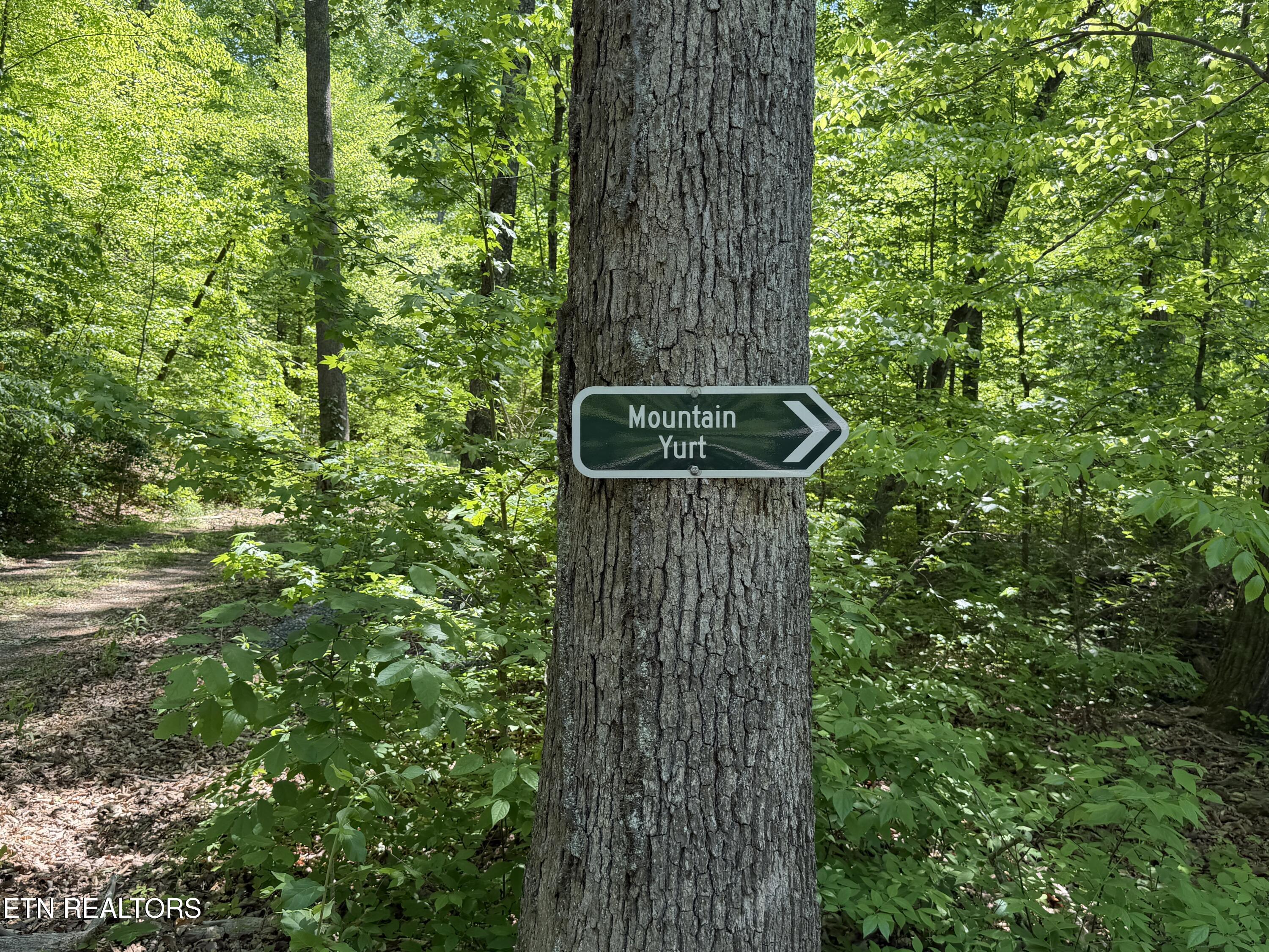 4716 Fred Jennings Road Walland, TN 37886 - Photo 25 of 52 IMG_2769