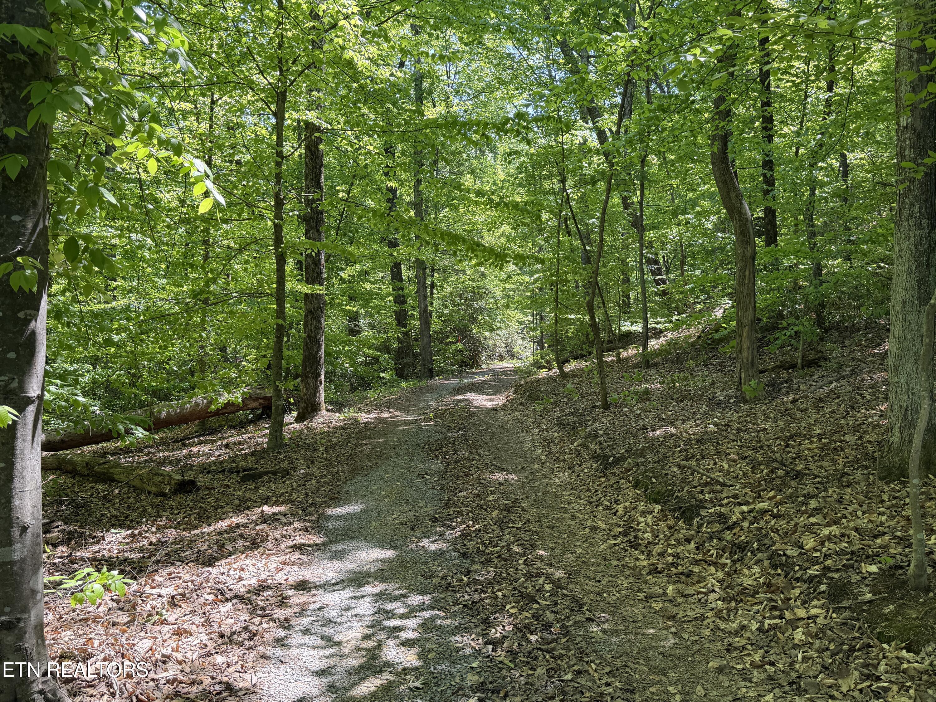 4716 Fred Jennings Road Walland, TN 37886 - Photo 26 of 52 IMG_2770