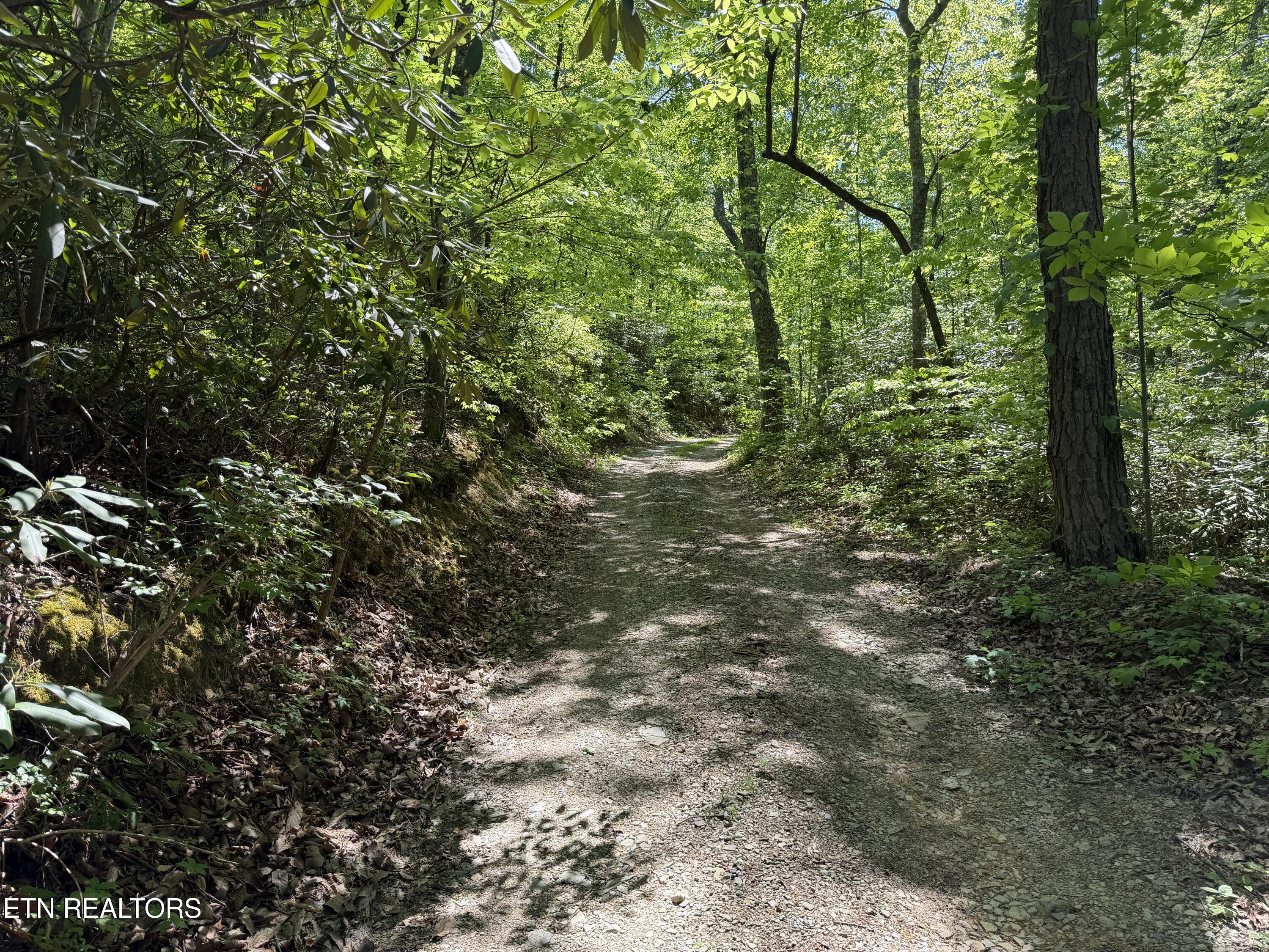4716 Fred Jennings Road Walland, TN 37886 - Photo 27 of 52 IMG_2771