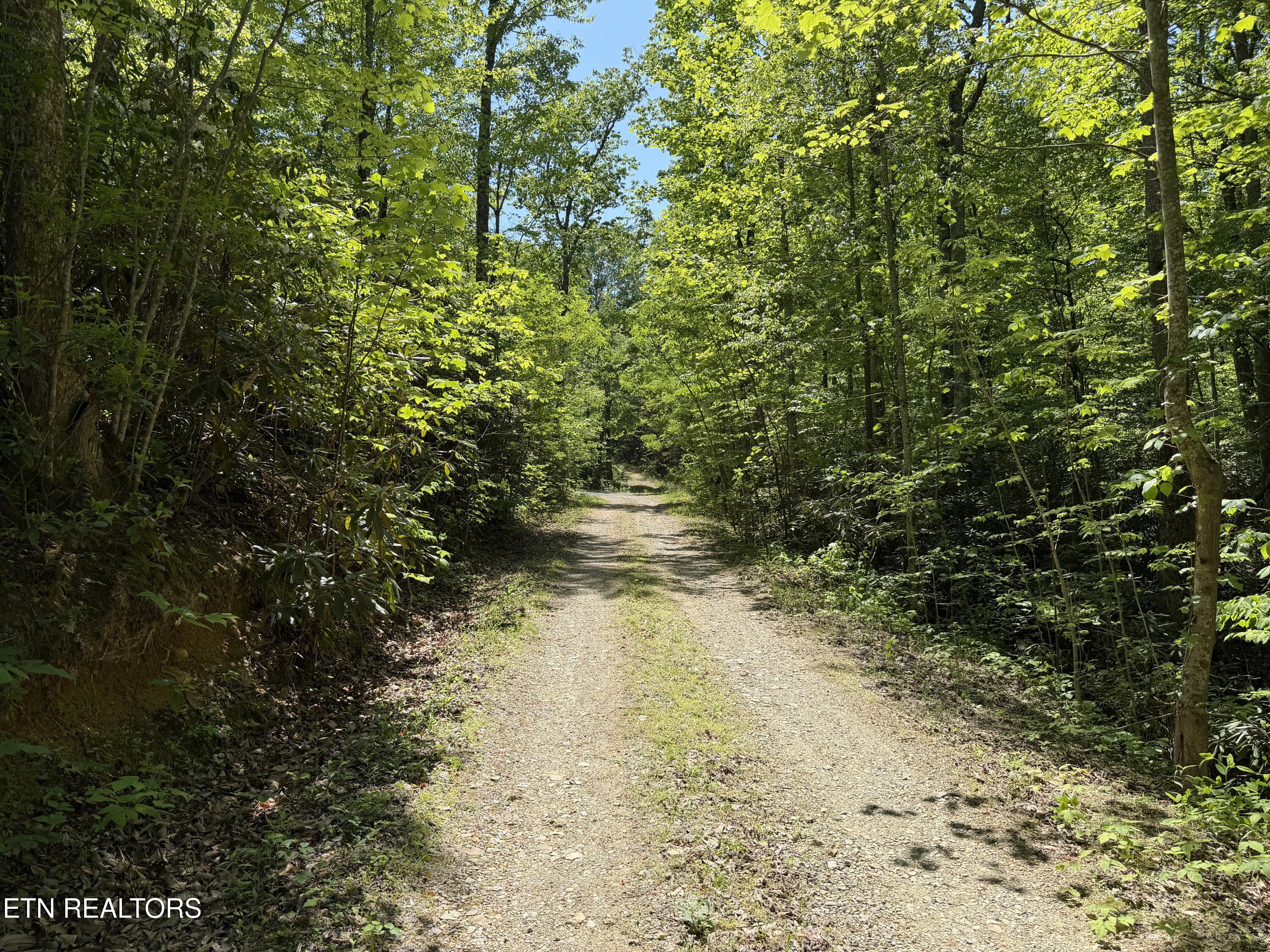 4716 Fred Jennings Road Walland, TN 37886 - Photo 28 of 52 IMG_2772
