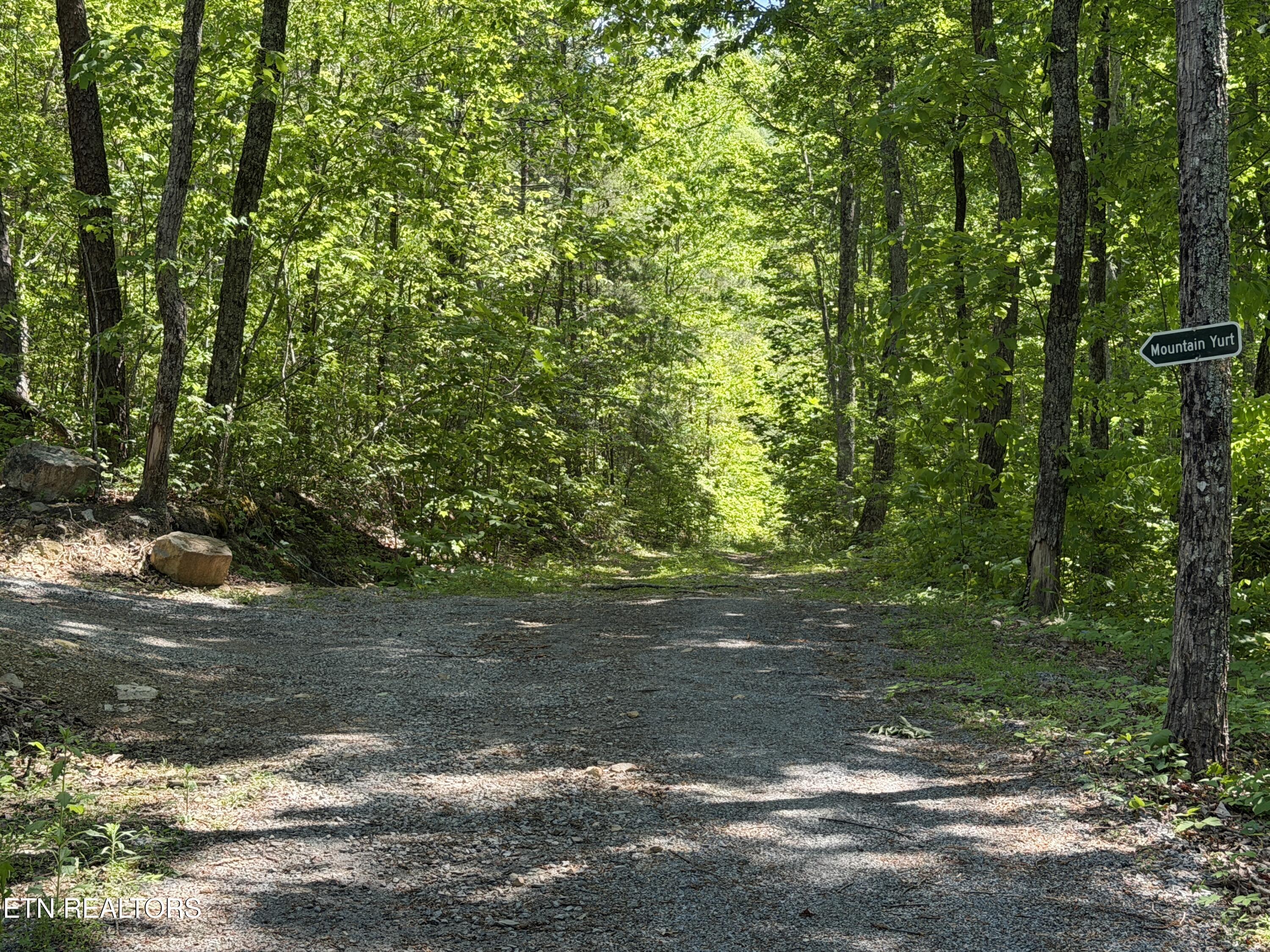 4716 Fred Jennings Road Walland, TN 37886 - Photo 29 of 52 IMG_2773