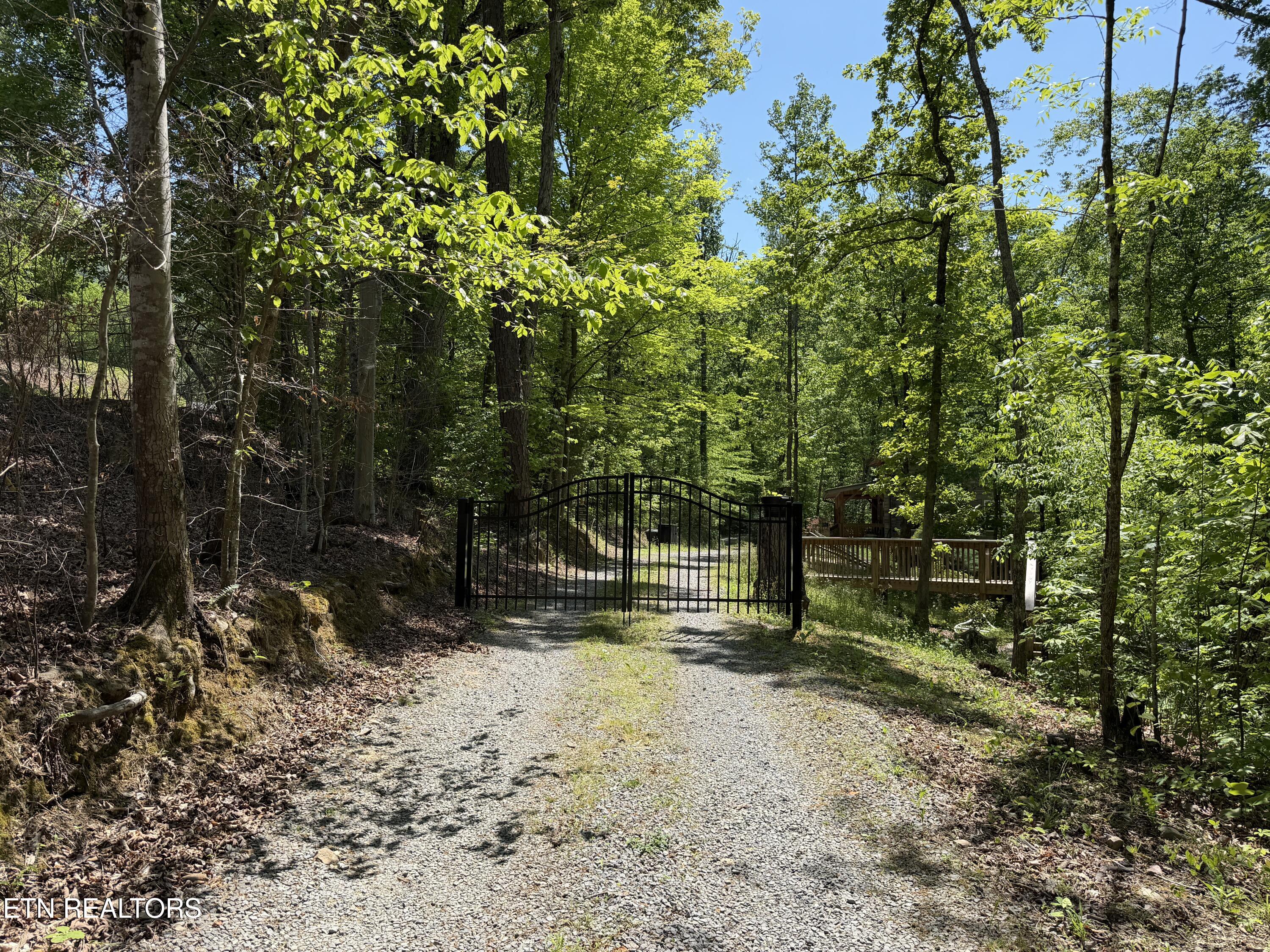 4716 Fred Jennings Road Walland, TN 37886 - Photo 3 of 52 IMG_2746