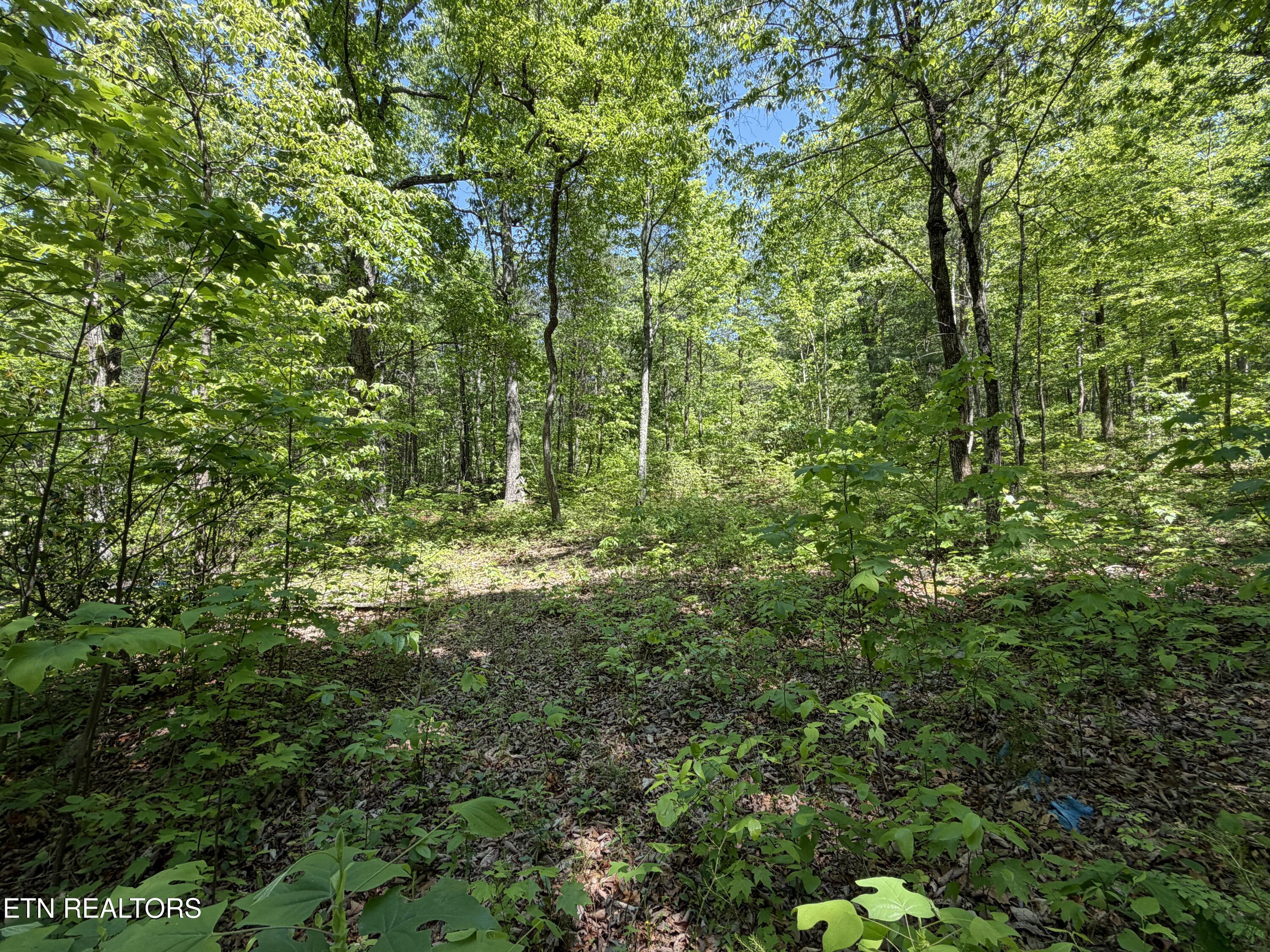 4716 Fred Jennings Road Walland, TN 37886 - Photo 31 of 52 IMG_2775