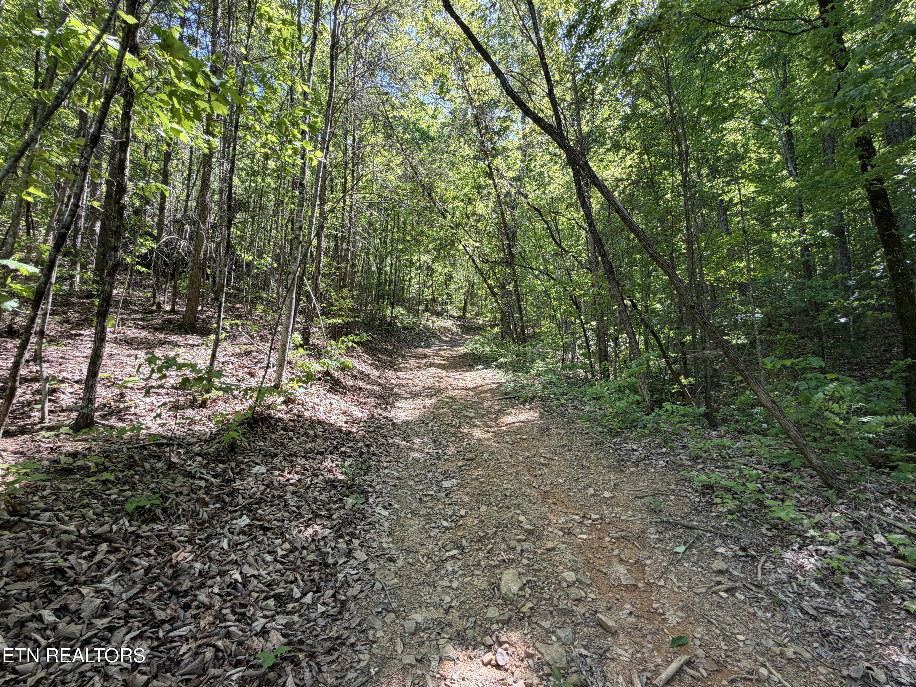 4716 Fred Jennings Road Walland, TN 37886 - Photo 33 of 52 IMG_2777