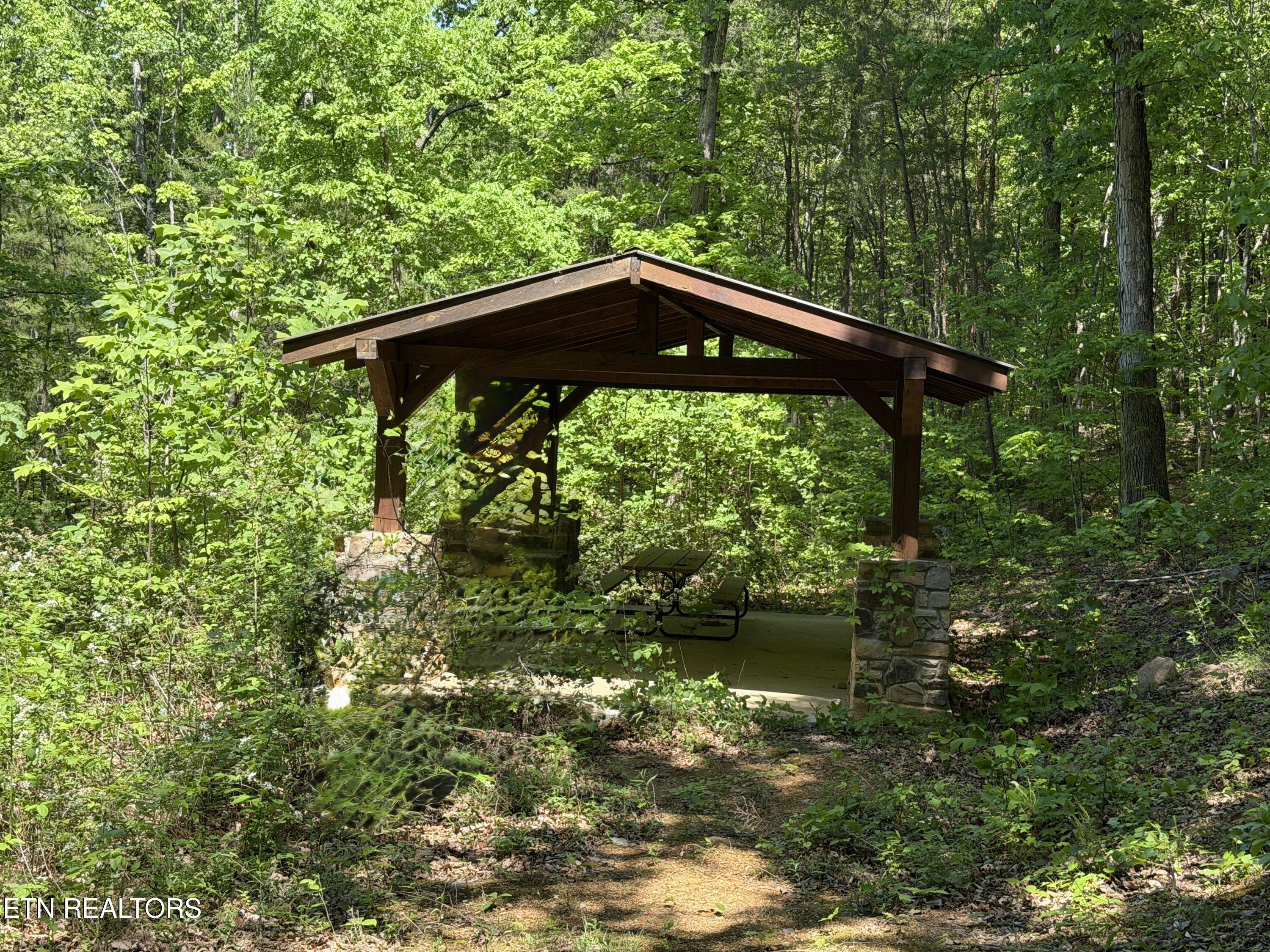 4716 Fred Jennings Road Walland, TN 37886 - Photo 34 of 52 IMG_2778