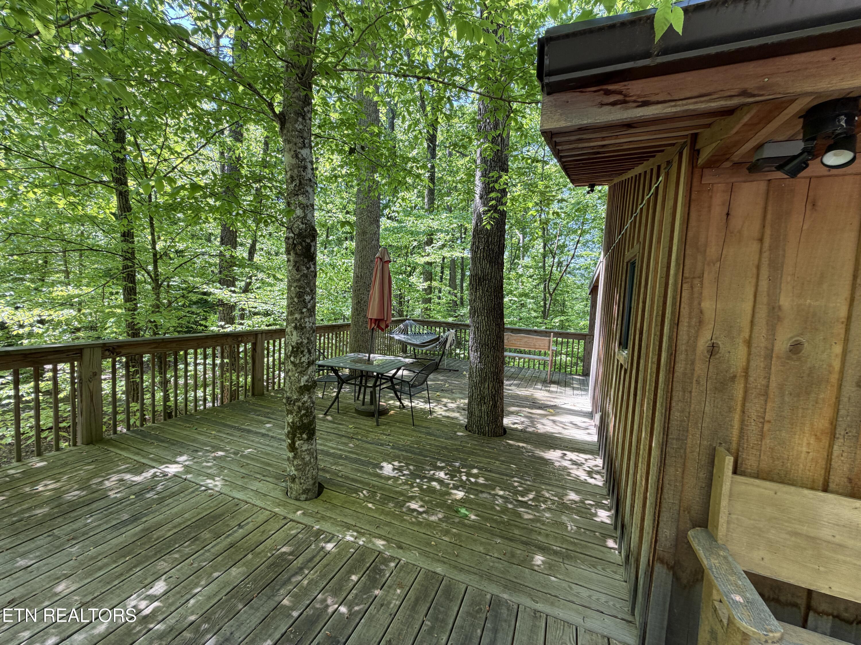 4716 Fred Jennings Road Walland, TN 37886 - Photo 7 of 52 IMG_2750