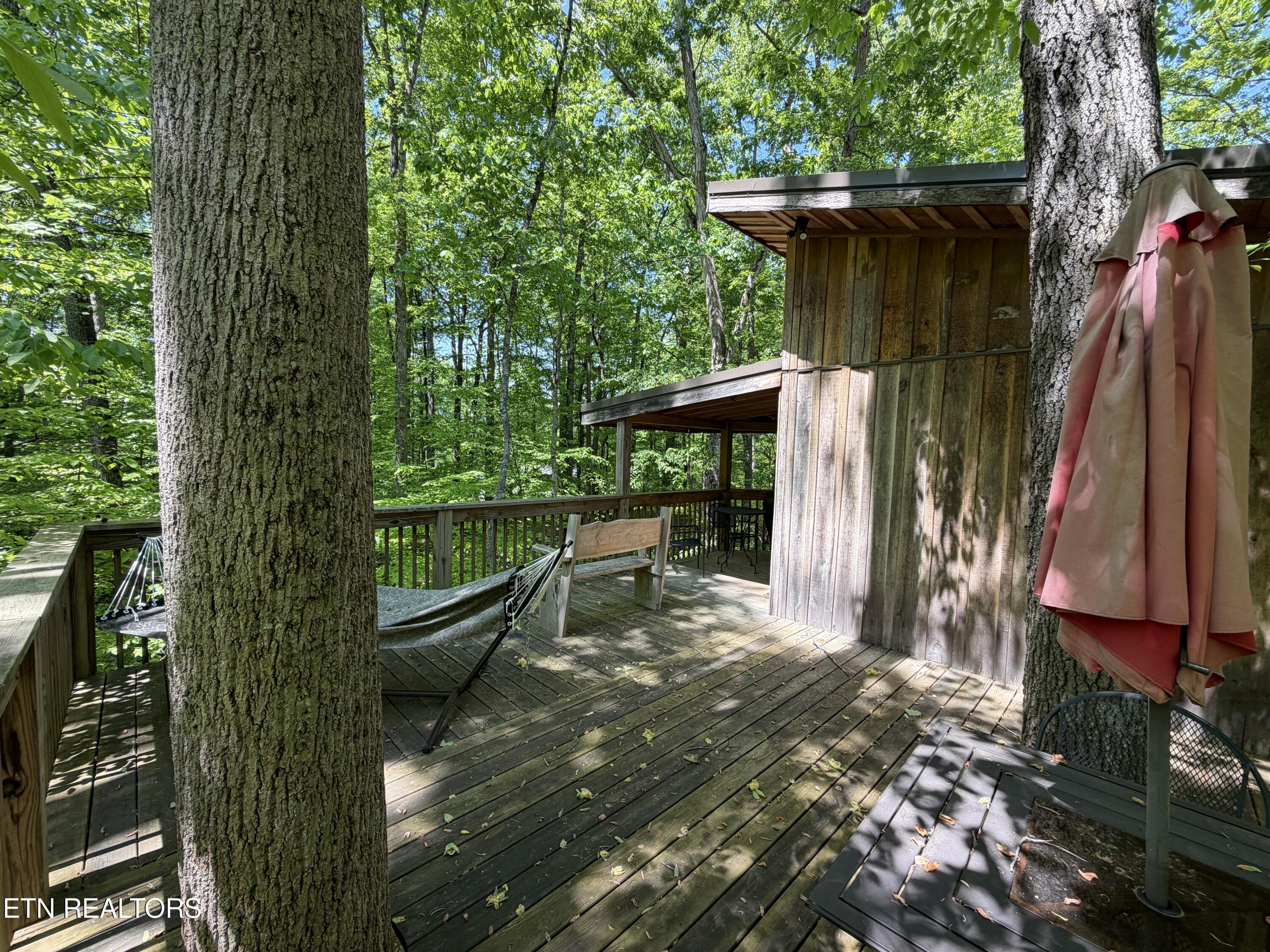 4716 Fred Jennings Road Walland, TN 37886 - Photo 8 of 52 IMG_2751