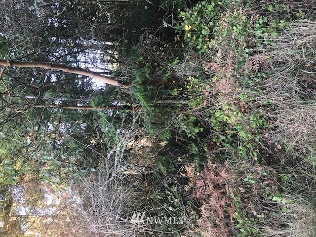 33 East Bush Point Road Freeland, WA 98249 - Photo 2 of 3 Gallery Image 2