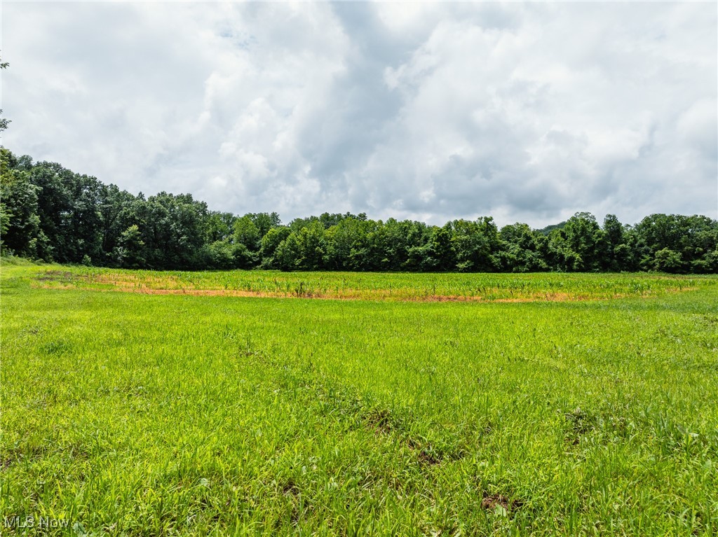Plainfield Road Kimbolton, OH 43749 - Photo 6 of 48 Gallery Image 6