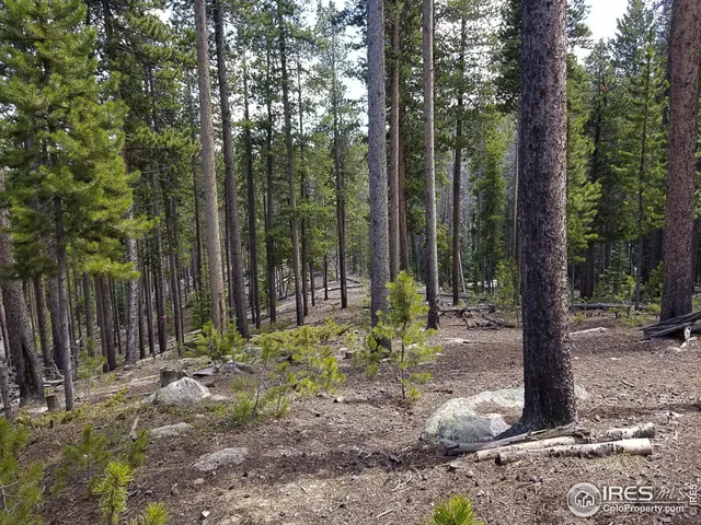 $85,000 | 274 Arapahoe Way, Red Feather Lakes, CO 80545