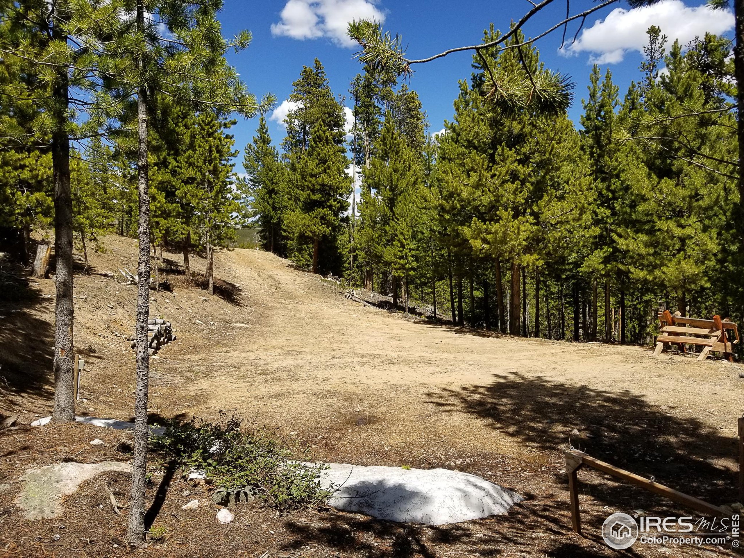 274 Arapahoe Way Red Feather Lakes, CO 80545 - Photo 21 of 30