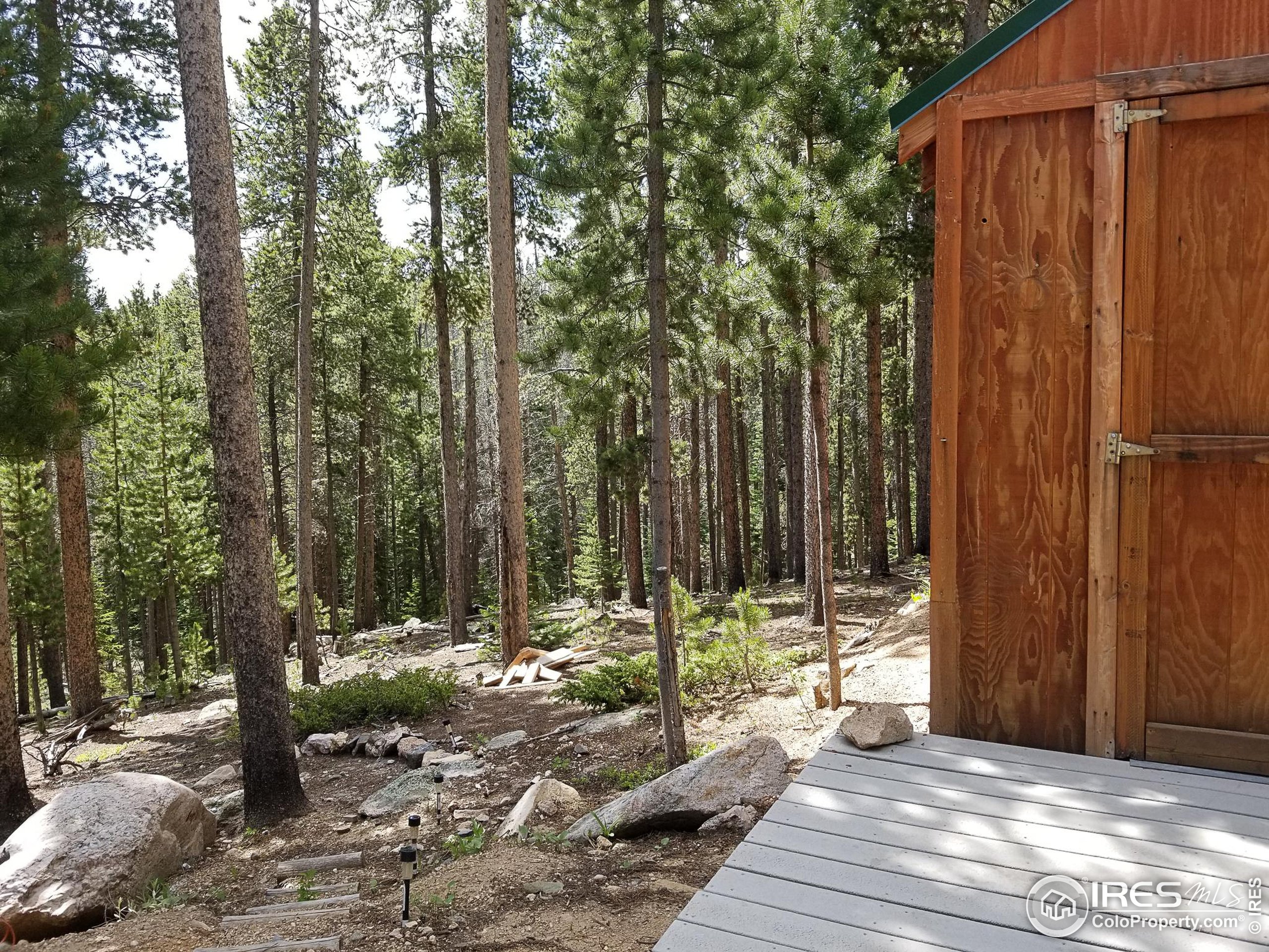 274 Arapahoe Way Red Feather Lakes, CO 80545 - Photo 25 of 30