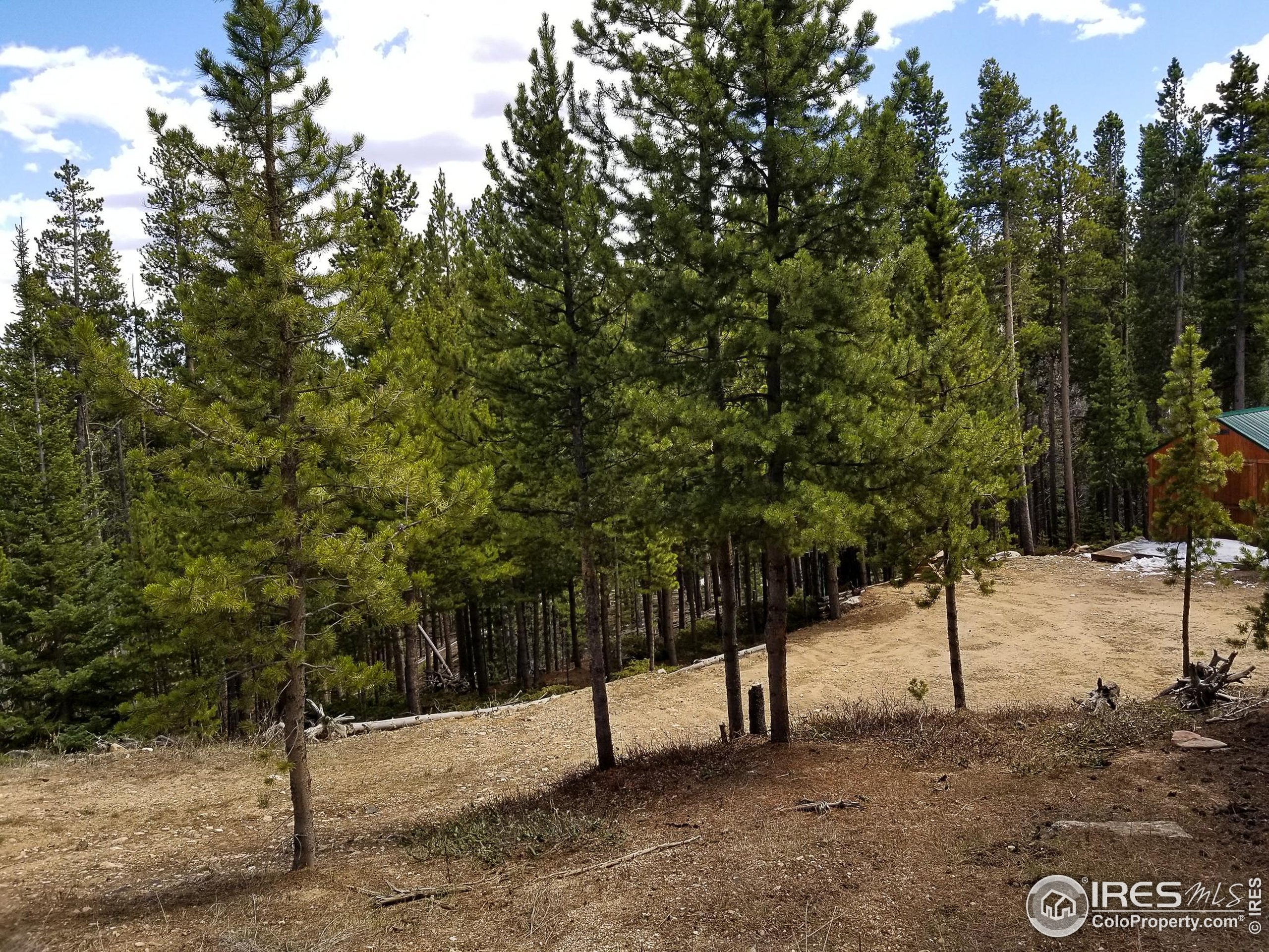 274 Arapahoe Way Red Feather Lakes, CO 80545 - Photo 26 of 30