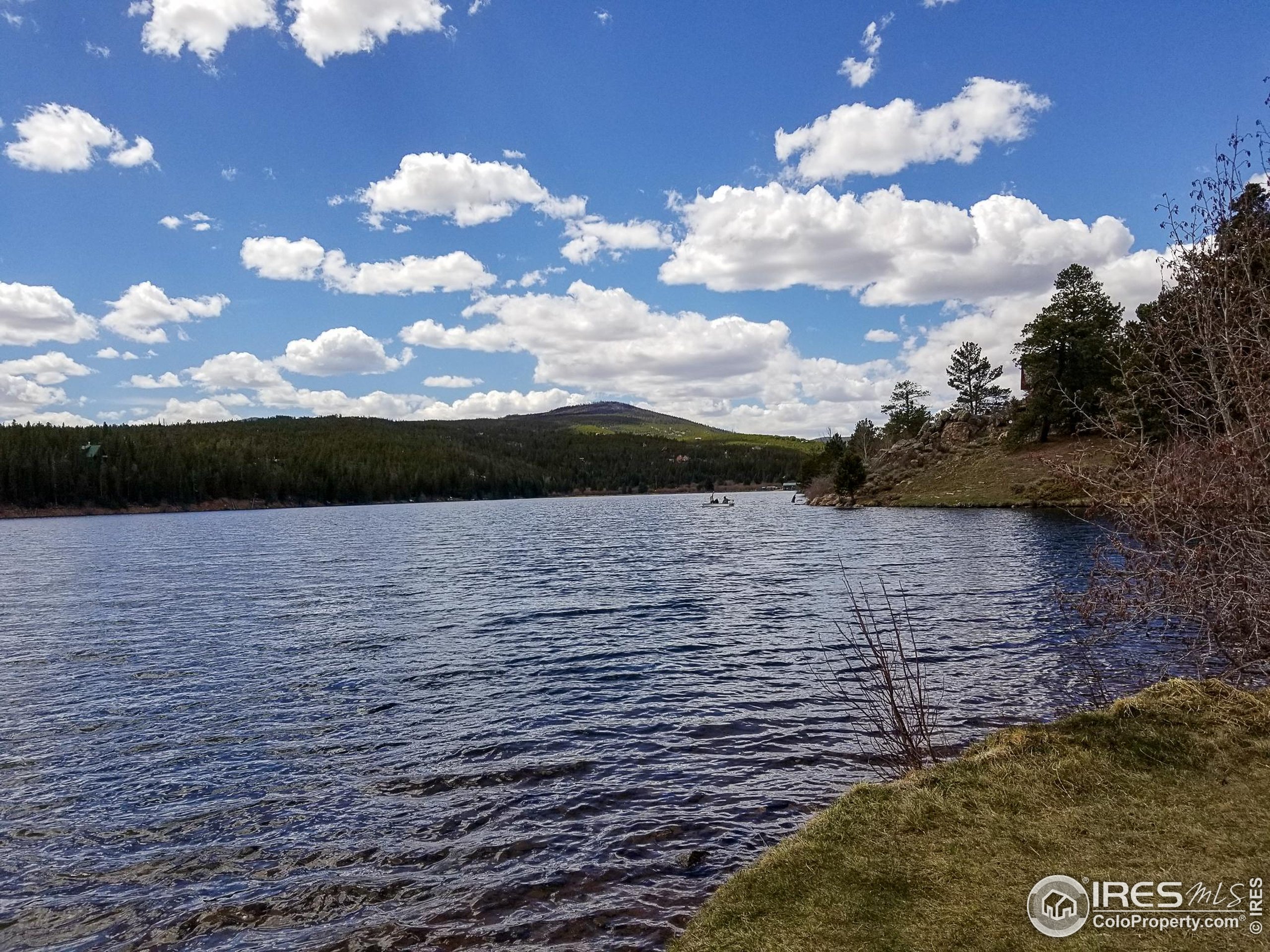 274 Arapahoe Way Red Feather Lakes, CO 80545 - Photo 27 of 30