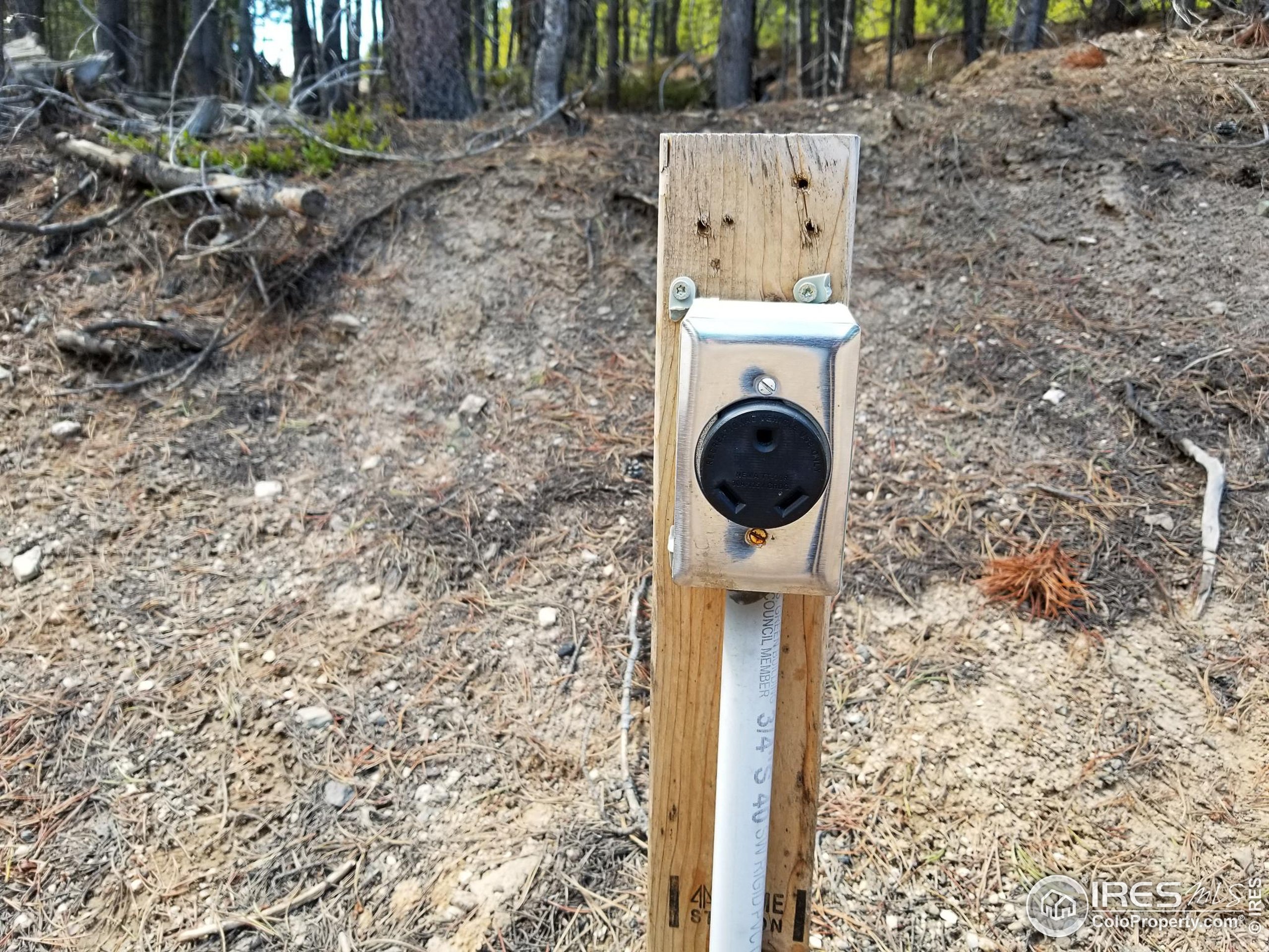 274 Arapahoe Way Red Feather Lakes, CO 80545 - Photo 3 of 30