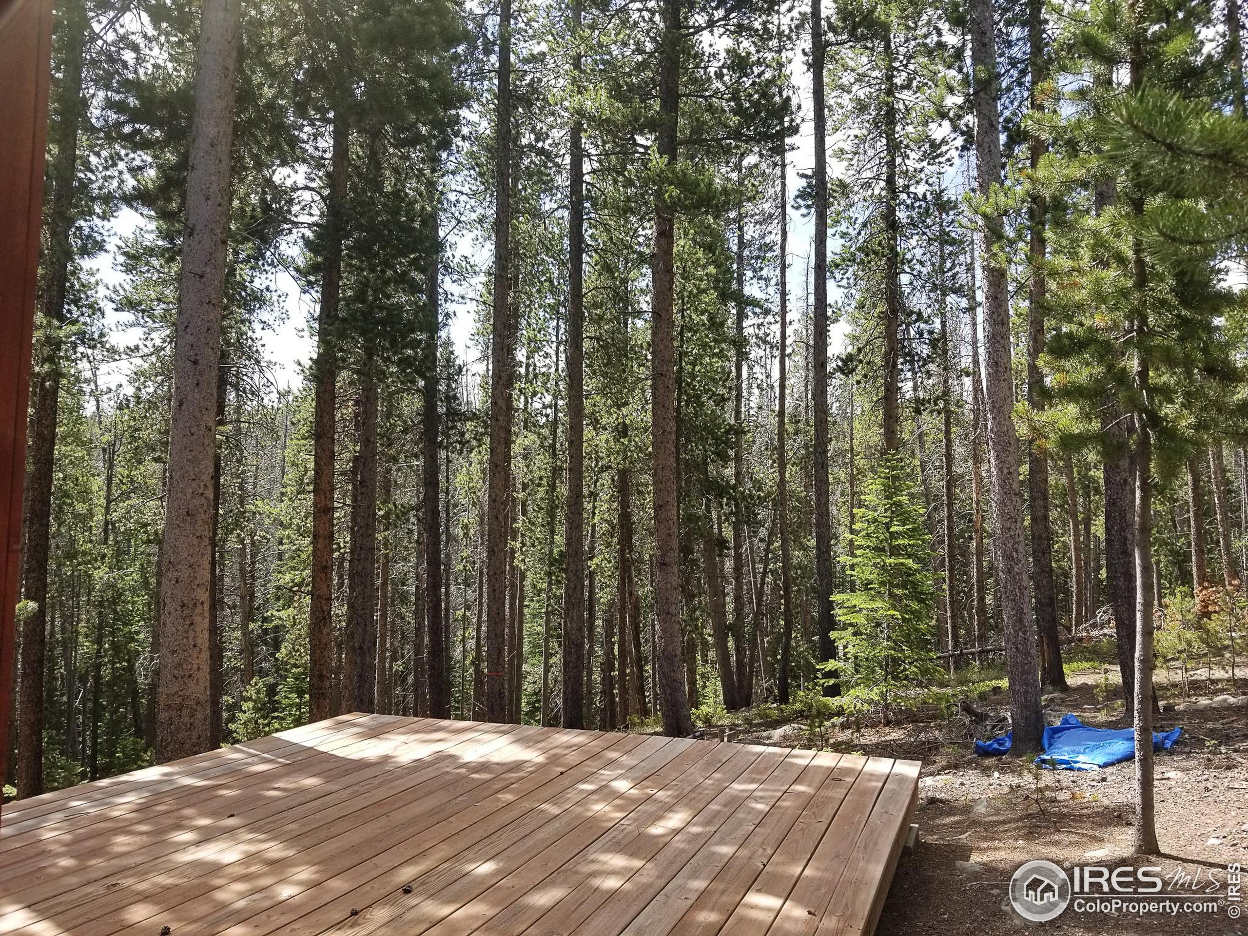 274 Arapahoe Way Red Feather Lakes, CO 80545 - Photo 10 of 30