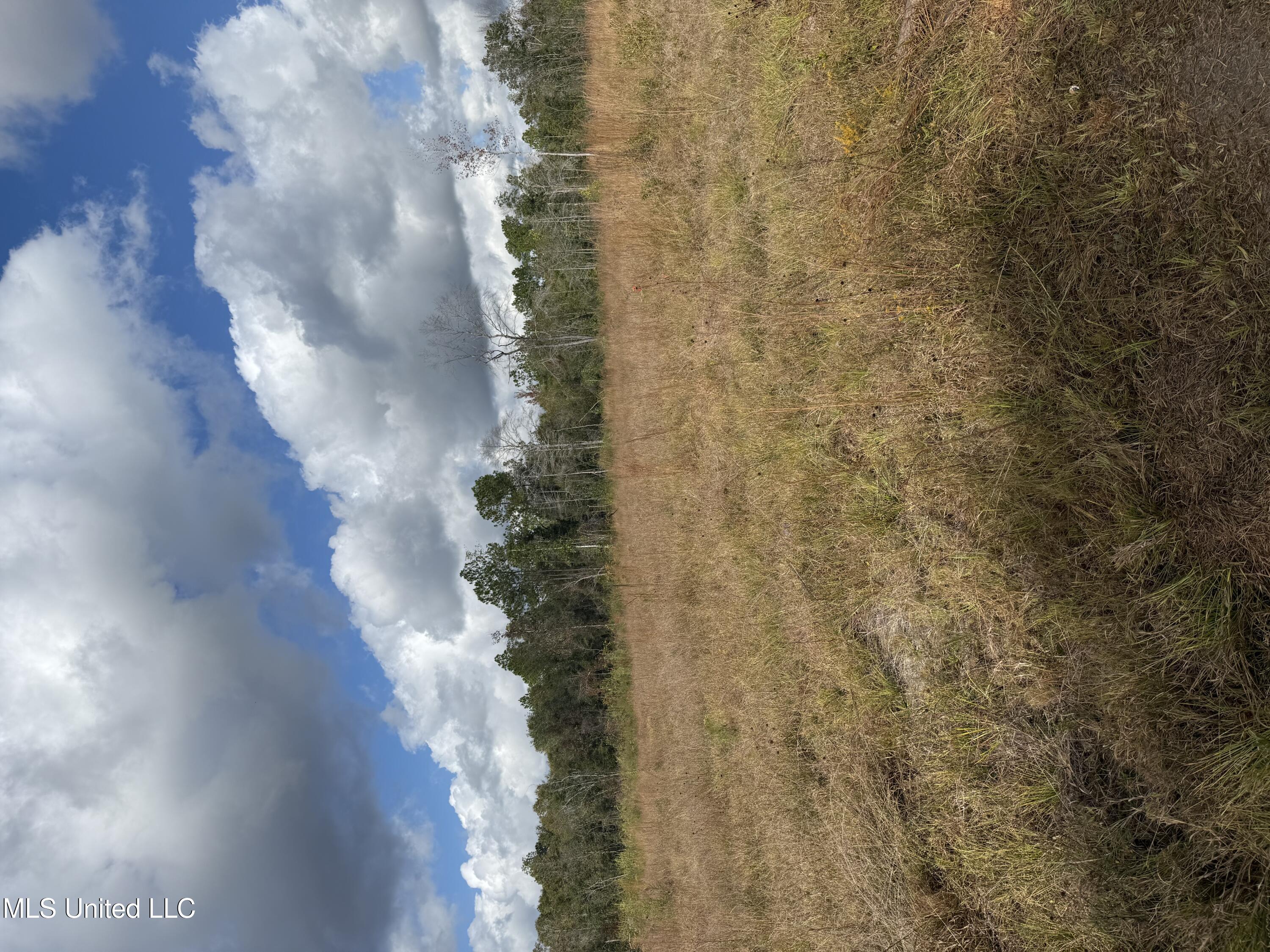 0 Ramie Farm Road Moss Point, MS 39562 - Photo 4 of 4 IMG_7538