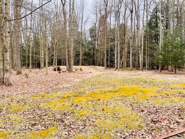 412 Tranquility Trail Long Pond, PA 18334 - Photo 8 of 8 a view of water with large trees
