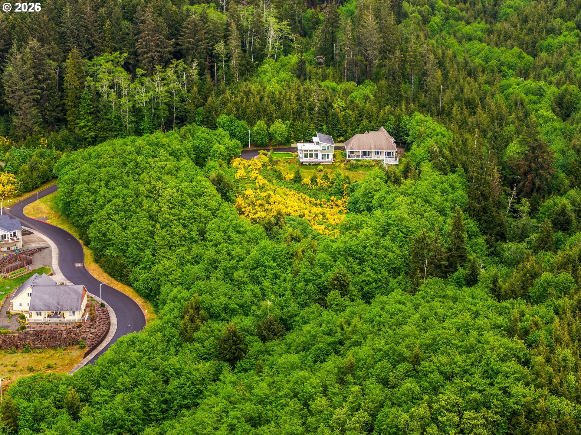 1915 North Fork Road Seaside, OR 97138 - Photo 9 of 12 a view of a garden with a tree
