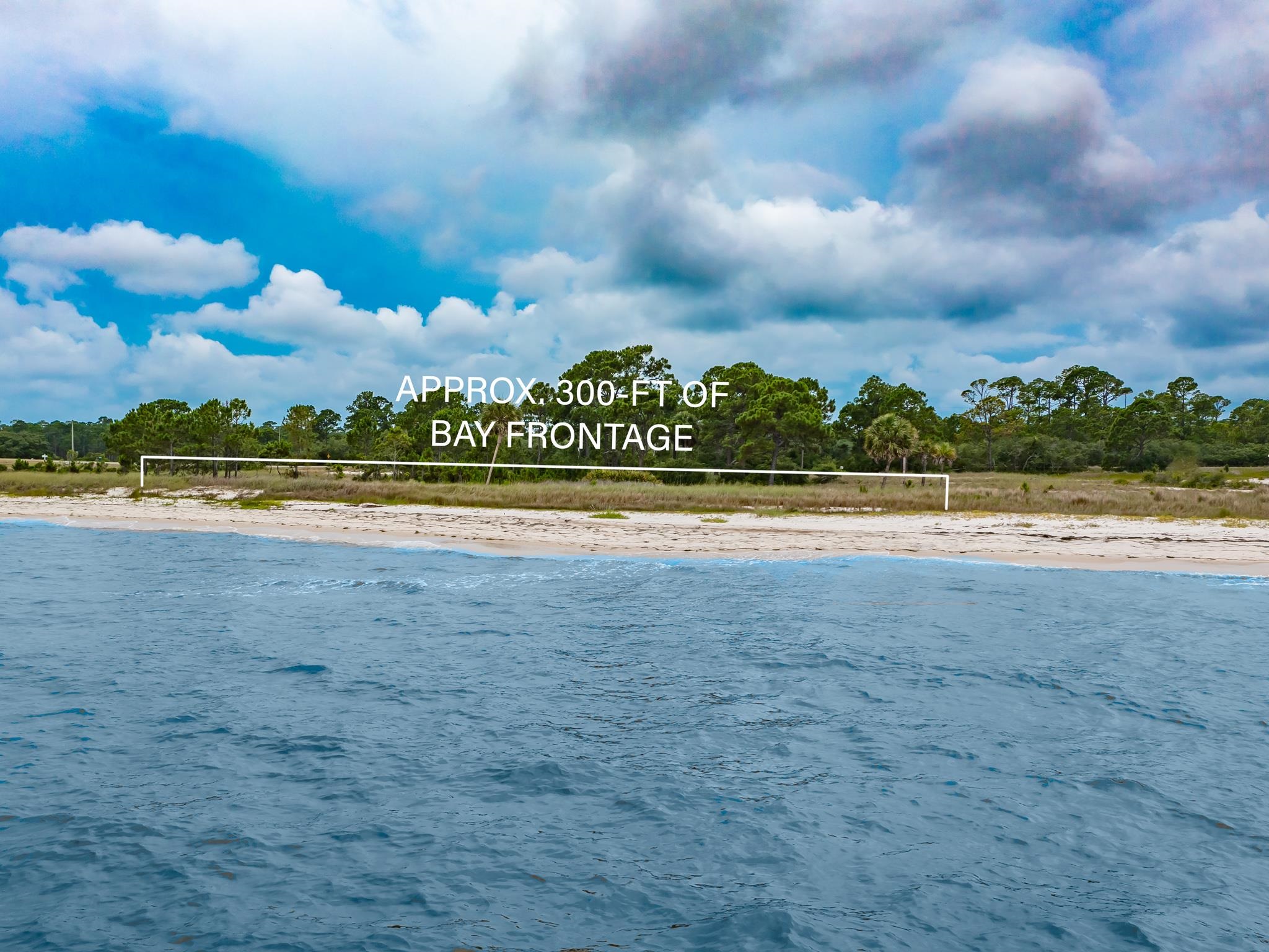 710 Bald Point Road Panacea, FL 32346 - Photo 14 of 39