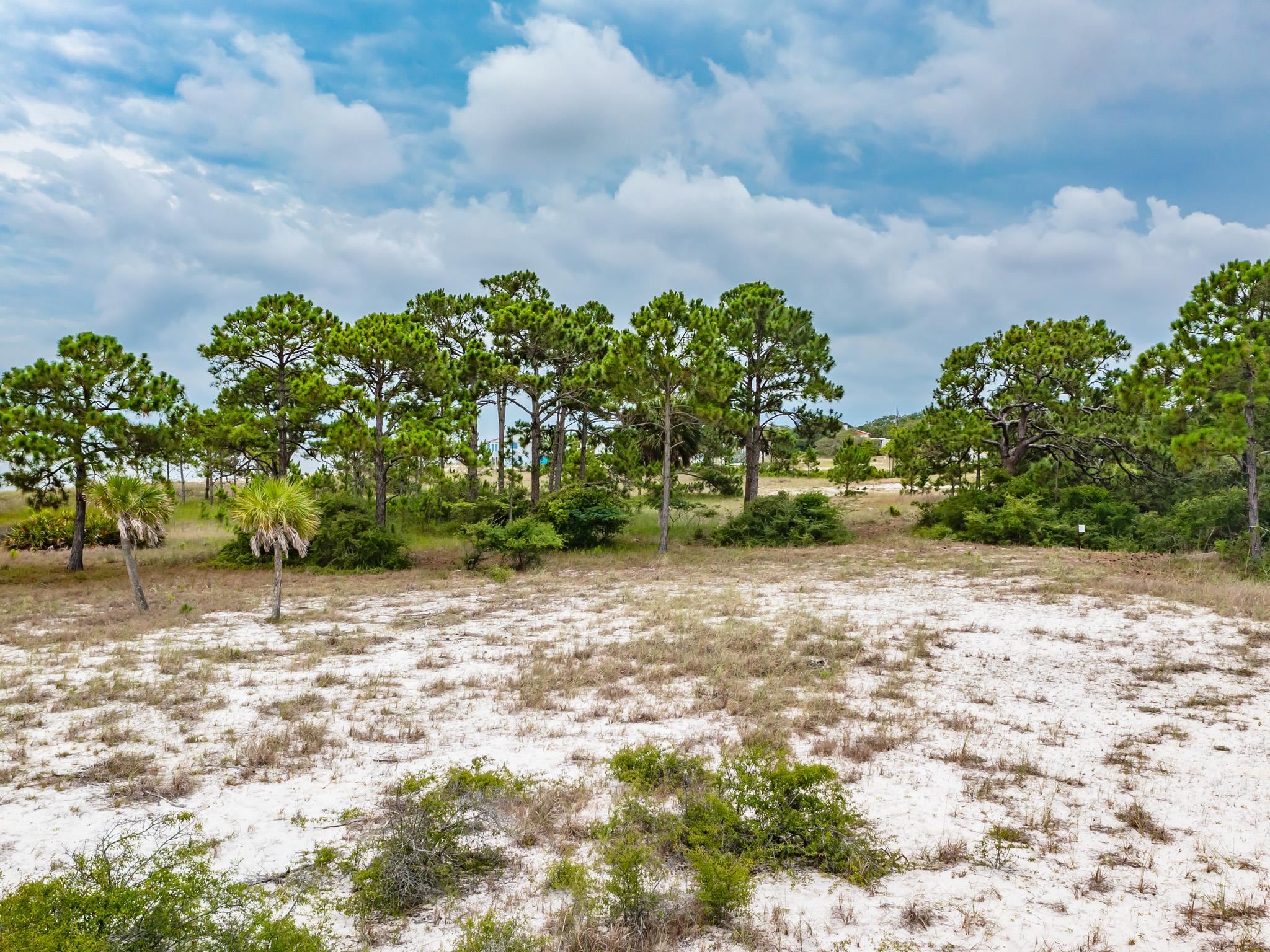 710 Bald Point Road Panacea, FL 32346 - Photo 21 of 39