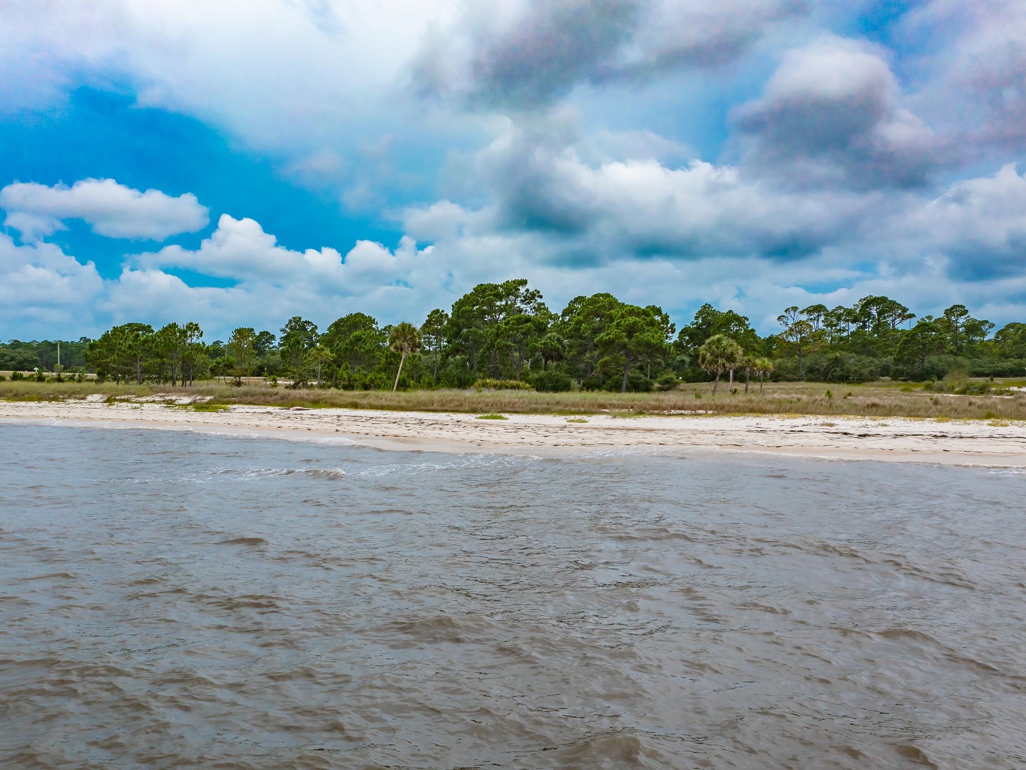 710 Bald Point Road Panacea, FL 32346 - Photo 6 of 39